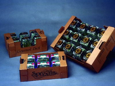 Συναγερμός σαλμονέλας σε δέκα Πολιτείες των ΗΠΑ