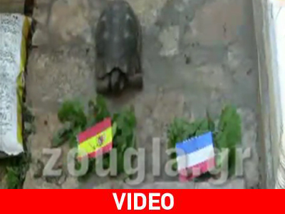 Η Τερψιθέα έδειξε Ισπανία