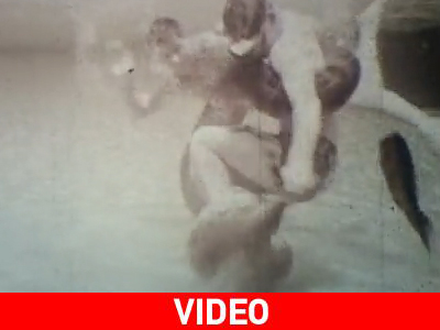 Παλεύοντας με μια ανακόντα 4 μέτρων…