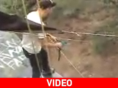 Τι πάει να κάνει ο τρελός;