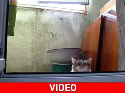 Απαραίτητη η γονική συναίνεση