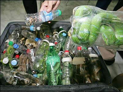 Ποινή «χάδι» στον άνδρα που μετέφερε 97 φίδια