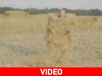 Αχυράνθρωπος…