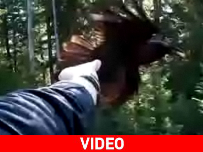 Ποιανού χέρι ταΐζει το κοράκι;