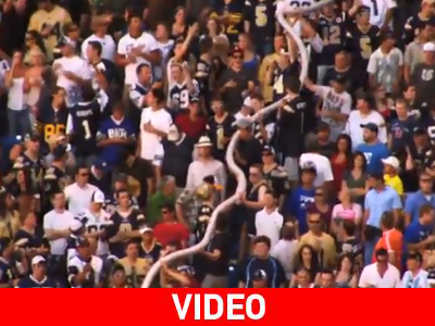 Φίδι στην κερκίδα