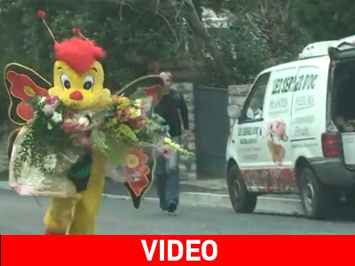 Ο Ρεμί… μελισσούλα Ο Ρεμί… μελισσούλα