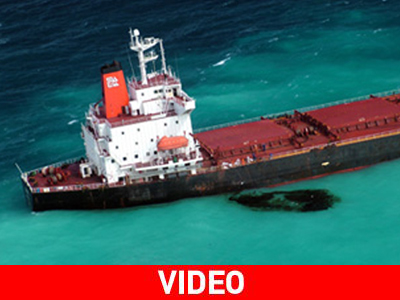 Αγώνας δρόμου για να σωθεί ο Μεγάλος Κοραλλιογενής Ύφαλος