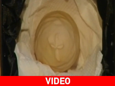 Και ο θεός έπλασε… το αυγό