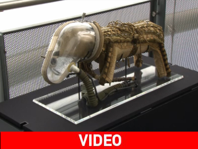 Στείλτε τον σκύλο σας στο διάστημα