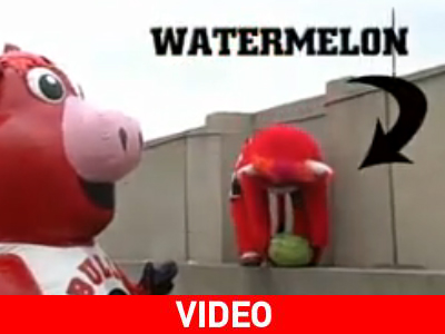 Θα αναπηδήσει ή όχι; Θα αναπηδήσει ή όχι;