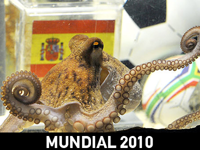 Συγκλονιστική αποκάλυψη για το χταπόδι του Μουντιάλ