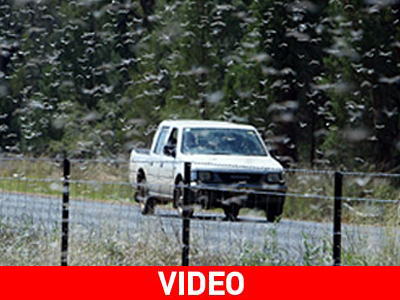 Η επιδρομή των μυρίων… ακριδών