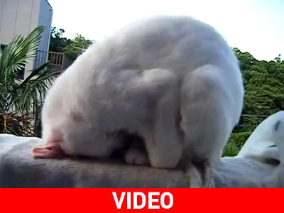 Τι είναι αυτό…