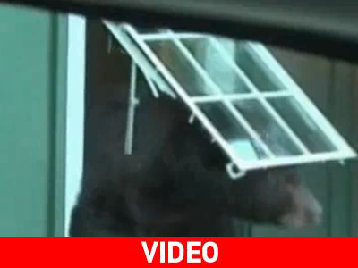 Ένας απρόσκλητος επισκέπτης το σκάει απ’ το παράθυρο