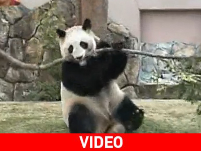 Το πάντα τρελάθηκε… Το πάντα τρελάθηκε…