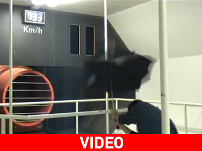 Μην κρατάτε ομπρέλα στον τυφώνα… Μην κρατάτε ομπρέλα στον τυφώνα…