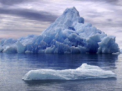 Ασυνήθιστοι ανοιξιάτικοι «επισκέπτες» στη Νέα Ζηλανδία