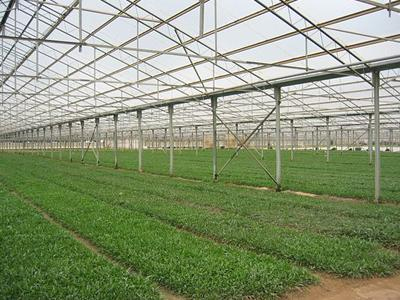 «Αναποτελεσματικές» οι δεσμεύσεις για την κλιματική αλλαγή