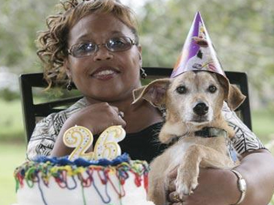 Ο υπερ-αιωνόβιος… σκύλος