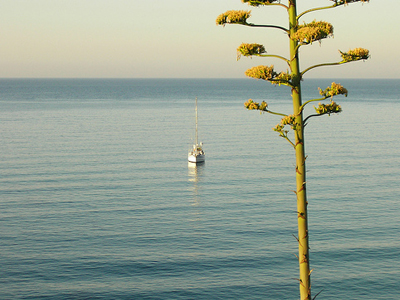 Η Ευρωπαϊκή Μεσόγειος
