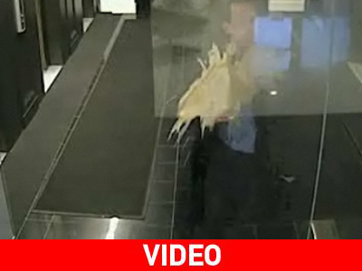 Αν δεν έχεις πιει ακόμα το πρωινό καφεδάκι… Αν δεν έχεις πιει ακόμα το πρωινό καφεδάκι…