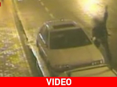 Η μεγαλύτερη… σκνίπα της Μ. Βρετανίας