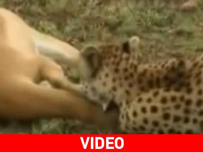 Το ελάφι που κορόιδεψε τον… θάνατο