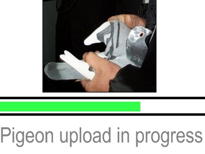 Και το ευρυζωνικό internet είναι πολύ… αργό