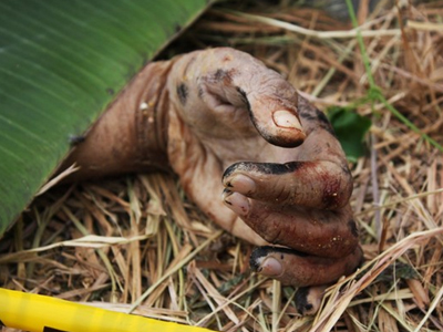 Δολοφονήθηκε μάρτυρας – κλειδί του «μακελειού των Φιλιππινών»