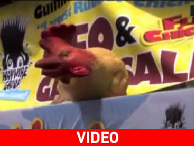 Ρεκόρ πετάγματος πλαστικών… κοτόπουλων