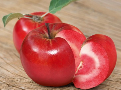 Η ντομάτα κάτω από τη μηλιά θα πέσει