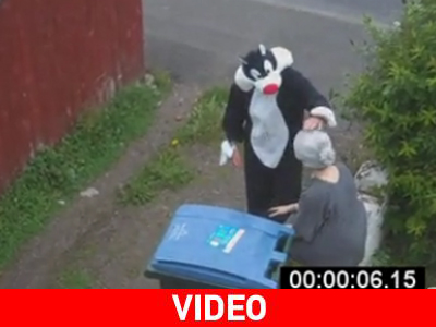 Η «εκδίκηση» της γάτας