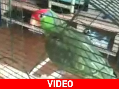 Δεν μάντεψε σωστά και το έριξε στη βουβουζέλα