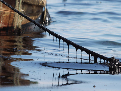 Νέα «πληγή» στον πυθμένα
