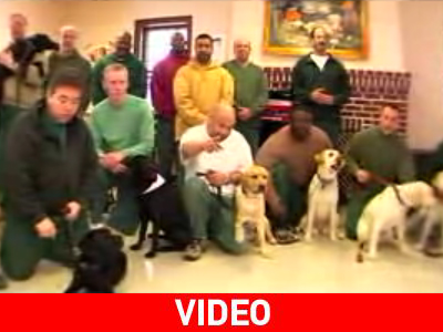 Της φυλακής τα σίδερα είναι για… τα κουτάβια