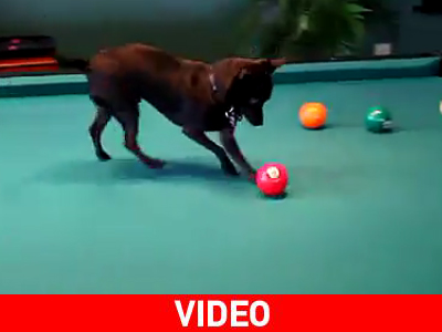 Τύφλα να ‘χει ο Ronnie O’ Sullivan