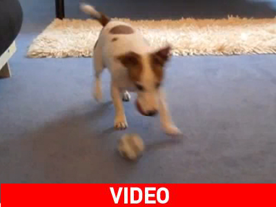 Τετράποδος… Λιονέλ Μέσι Τετράποδος… Λιονέλ Μέσι