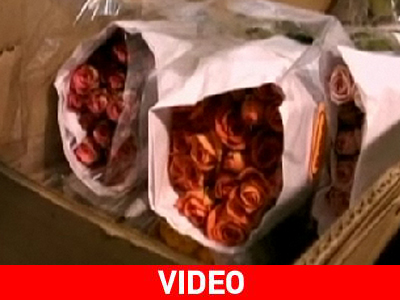 Κοκαΐνη κρυμμένη σε μπουκέτα τριαντάφυλλων