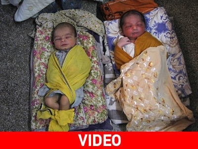 Ζήτημα επιβίωσης