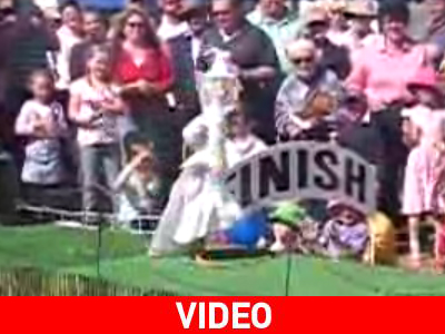 Επίδειξη μόδας με… πάπιες για μοντέλα