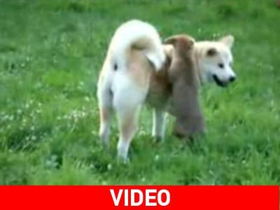 Η οπτική… επιβεβαίωση της φράσης «πασπαρτού»