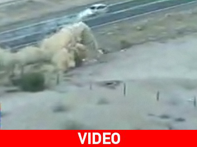 Είδε σε απευθείας μετάδοση το τρακάρισμα των αδερφών του