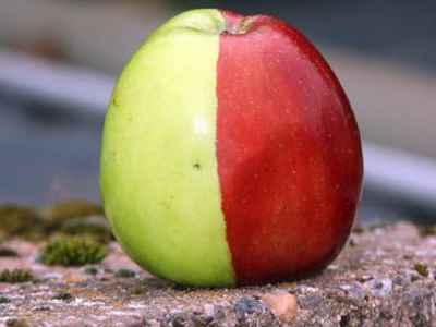 ΠΑΟ-ΟΣΦΠ σημειώσατε «Χ»