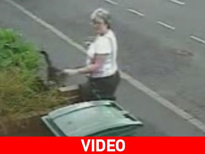 Πέταξε γάτα στα σκουπίδια