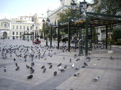 Με κέφι οι εορτασμοί της κινέζικης Πρωτοχρονιάς στην Αθήνα