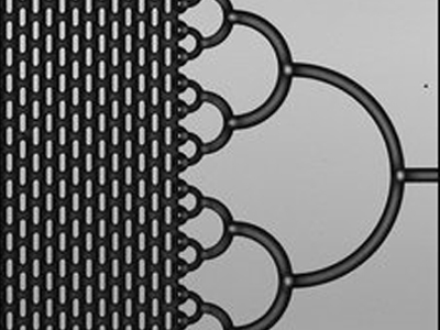 Σωτήριο τσιπ για τη διάγνωση ασθενειών