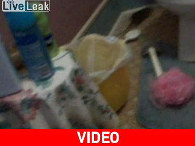 Κυνηγώντας έναν αρουραίο μέσα στο σπίτι… Κυνηγώντας έναν αρουραίο μέσα στο σπίτι…