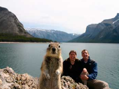 Οι απρόσκλητοι επισκέπτες…
