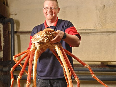 Το μεγαλύτερο καβούρι της Μ. Βρετανίας… μεγαλώνει ακόμα!