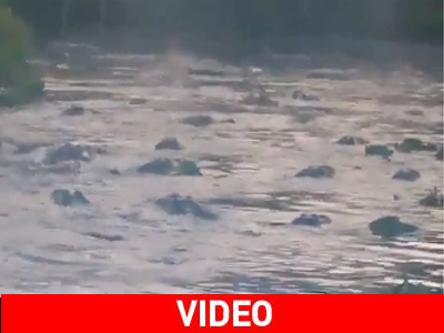 Προσοχή, δαγκώνει!